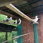 Dom wakacyjny за гости рай с до гр велико търново *