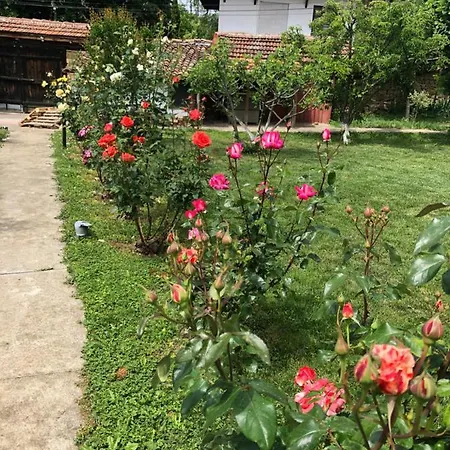 за гости рай с до гр велико търново 阿巴纳西