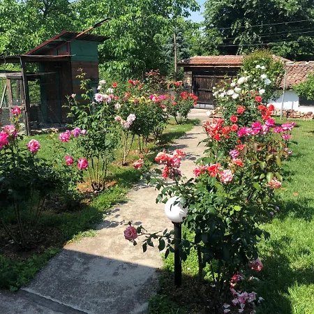 за гости рай с до гр велико търново *