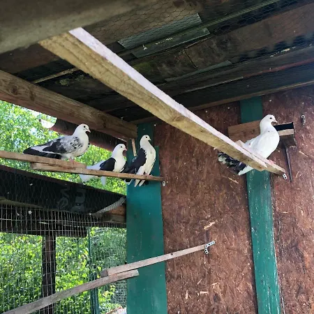 Ferienhaus за гости рай с до гр велико търново *