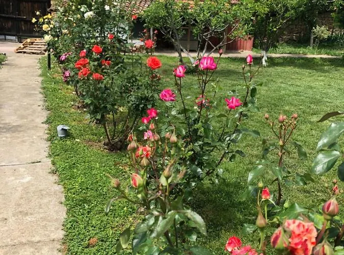 за гости рай с до гр велико търново アルバナシ