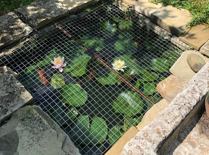 Vakantiehuis за гости рай с до гр велико търново