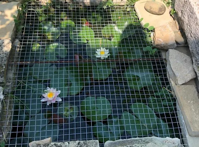 за гости рай с до гр велико търново 別荘