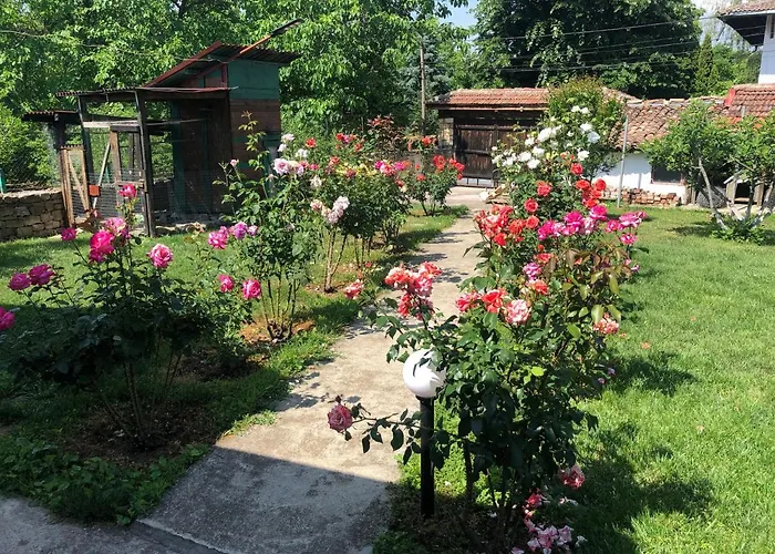 за гости рай с до гр велико търново *