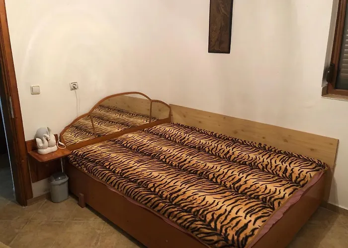 за гости рай с до гр велико търново *