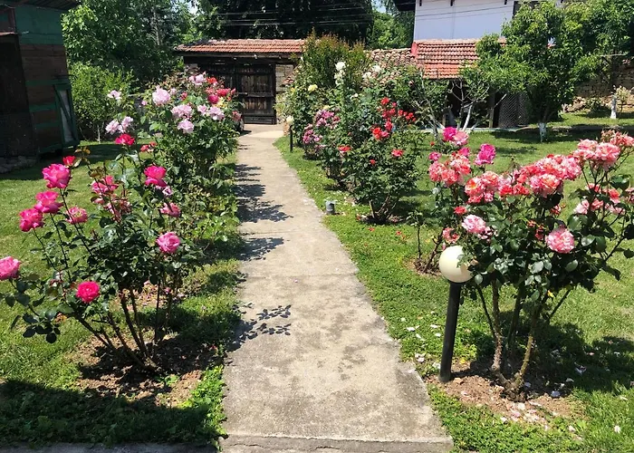 за гости рай с до гр велико търново * Arbanasi